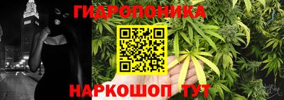 2c-b Вышний Волочёк