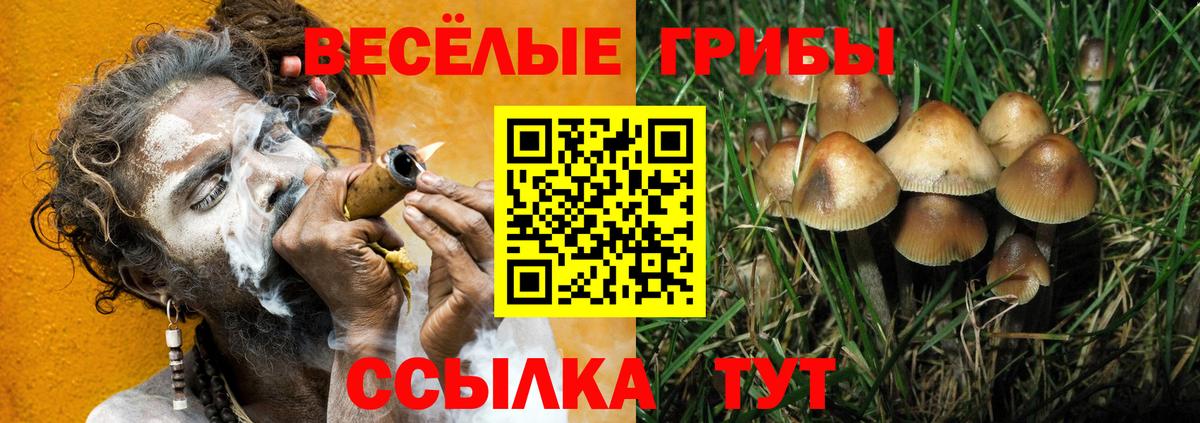 Асбест  Галлюциногенные грибы Psilocybine cubensis  Вход с VPN 